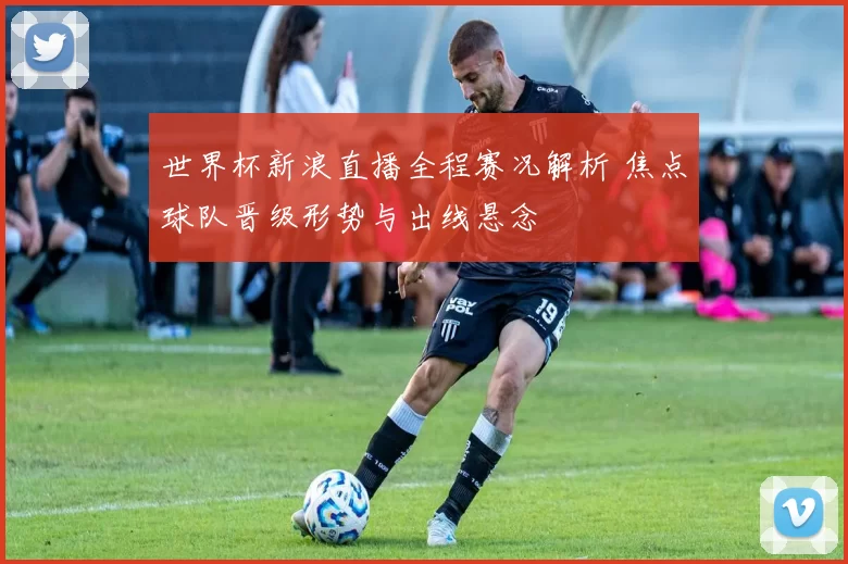 世界杯新浪直播全程赛况解析 焦点球队晋级形势与出线悬念