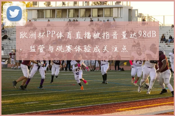 欧洲杯PP体育直播被指音量达98dB，监管与观赛体验成关注点