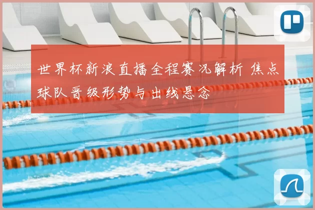 世界杯新浪直播全程赛况解析 焦点球队晋级形势与出线悬念