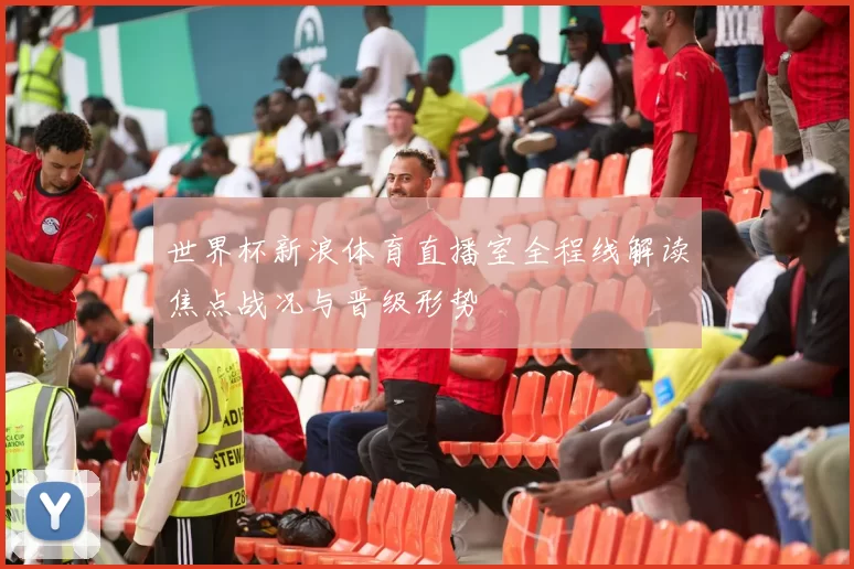 世界杯新浪体育直播室全程线解读焦点战况与晋级形势
