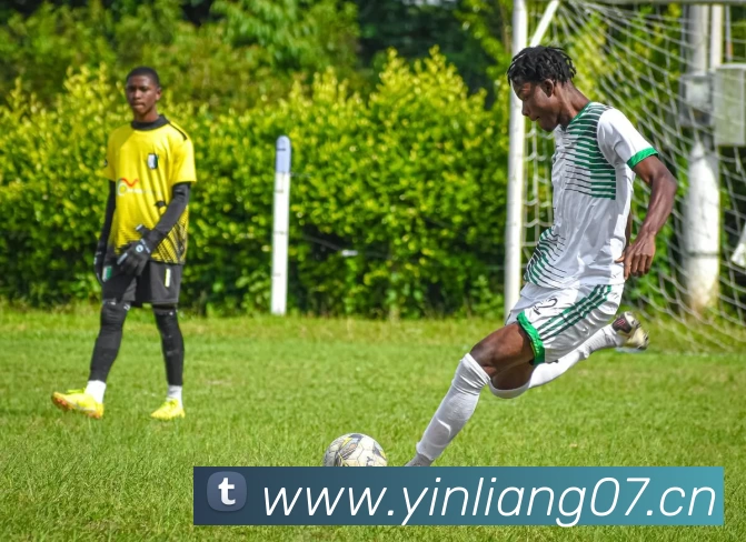 Z6·尊龙凯时「中国区」官方网站平台生态图