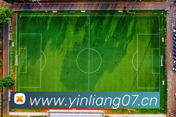 Z6·尊龙凯时「中国区」官方网站APP 封面图